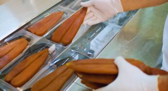 Bottarga di muggine, un elemento nobile per dare un tocco in più ai tuoi piatti