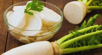 Daikon, cos’è e perché è miracoloso? Tutto questa radice