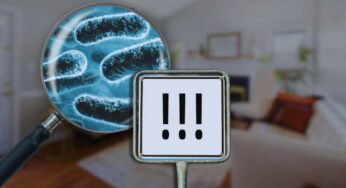 Nessuno ci pensa, ma questi oggetti in casa devono essere sempre cambiati: vero covo di batteri!