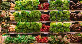 Ministero della Salute richiama immediatamente due marche di Iceberg in busta: pericolo Listeria