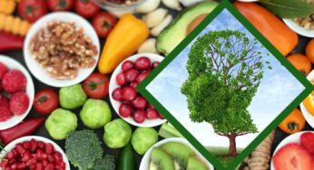 Migliora la memoria con questi alimenti buonissimi: risultati da subito