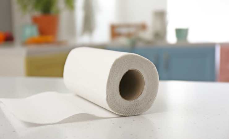 Rotolo di carta assorbente