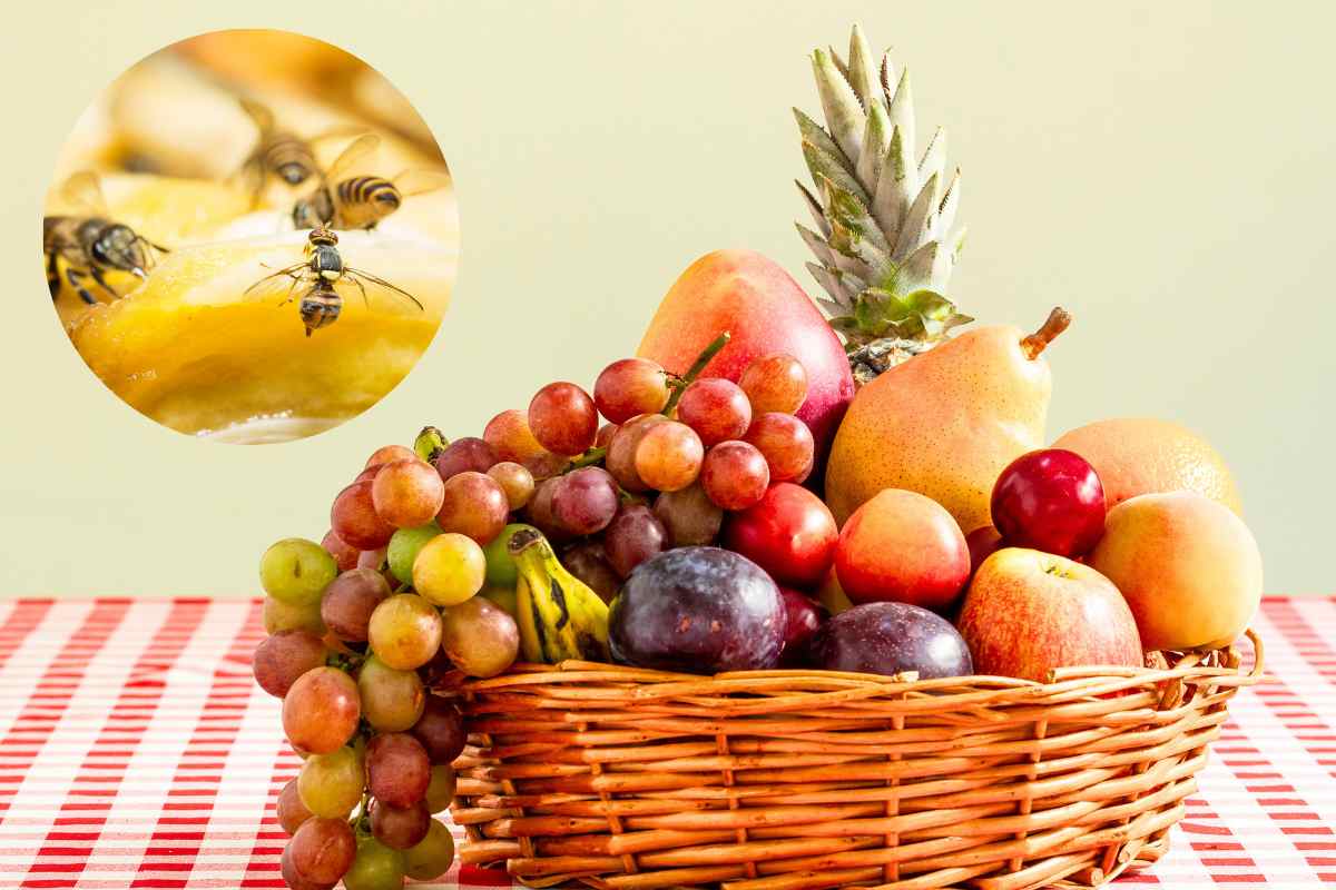 cesto di frutta e moscerini